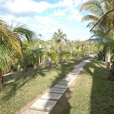 Rocks Retreat By Eleuthera Vacation Rentals North Palmetto Point Exterior photo
