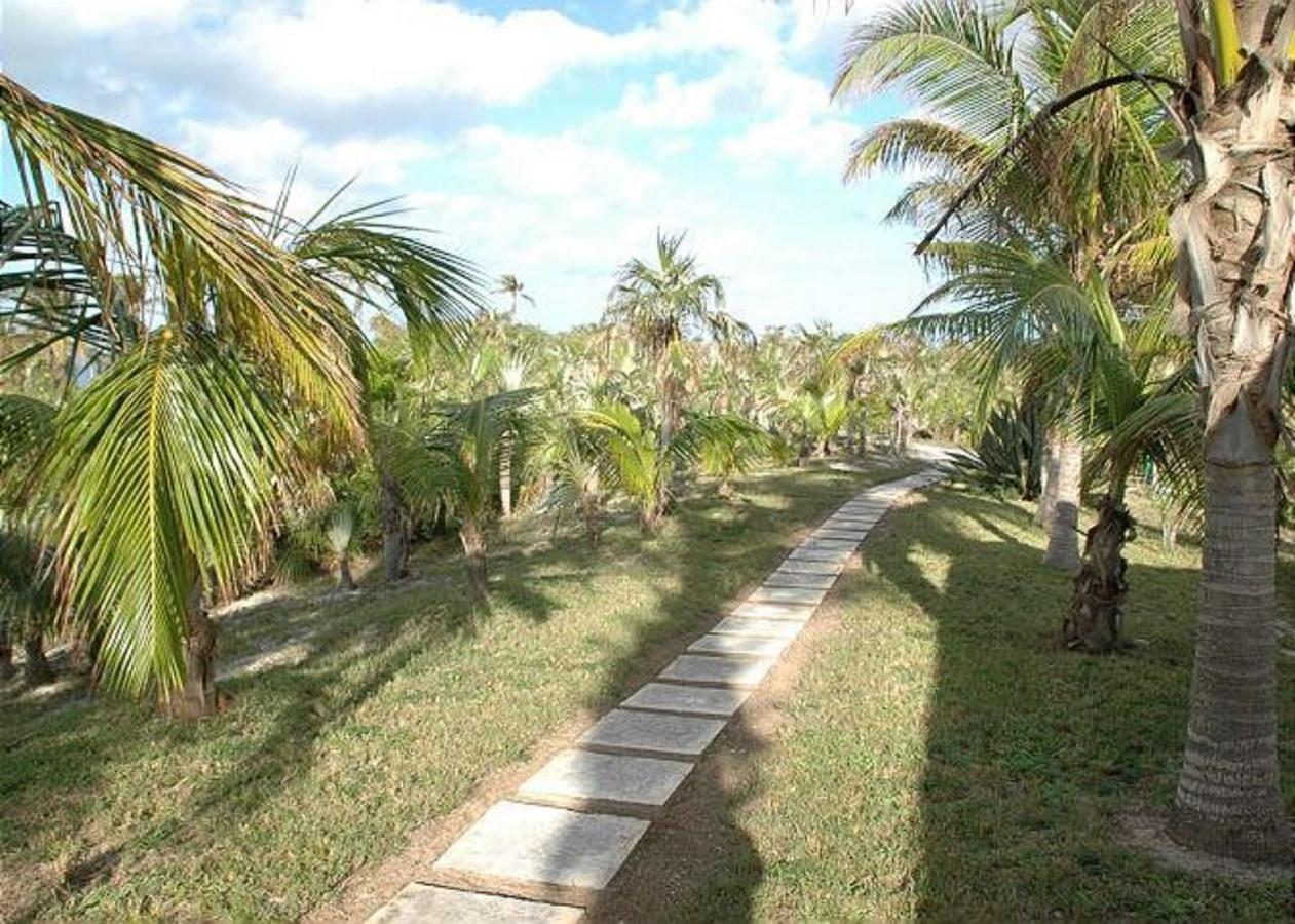 Rocks Retreat By Eleuthera Vacation Rentals North Palmetto Point Exterior photo